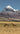tibetan-plateau-wild-yak-grazing.webp